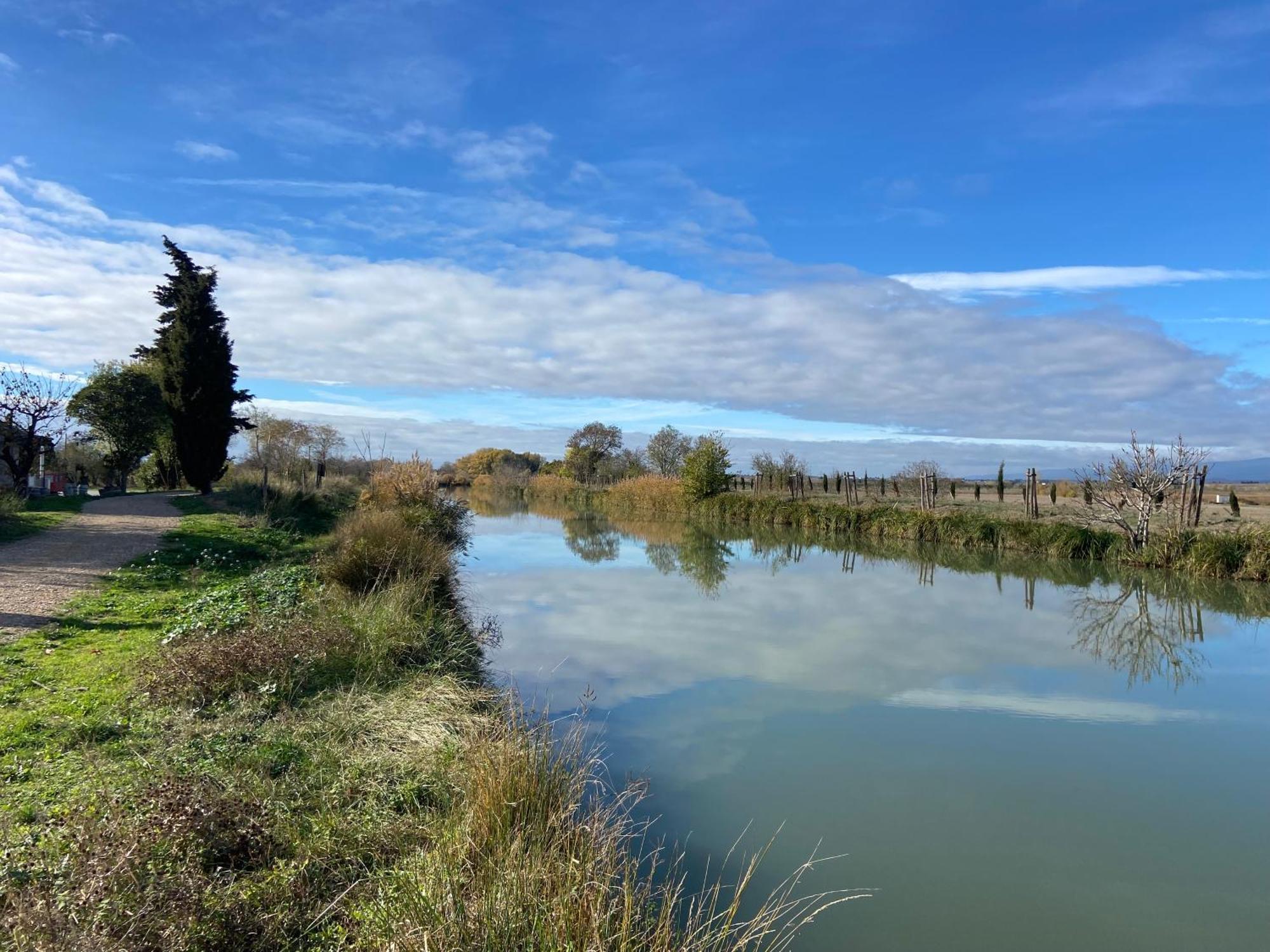 T4 Bord Canal Du Midi, Piscine Homps  Exterior photo